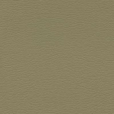 1256 Papyrus color swatch