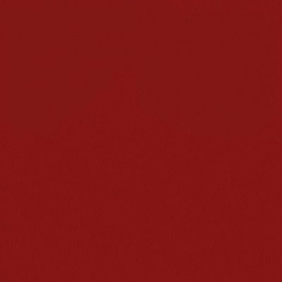 17-Garnet color swatch