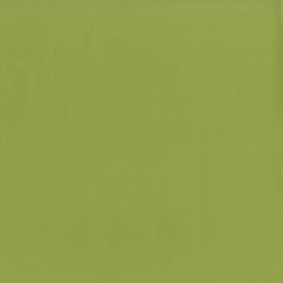 21-Meadow color swatch