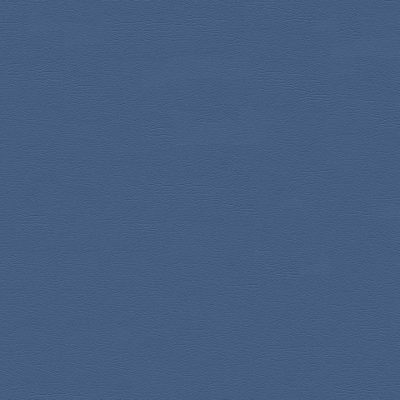 2685 Bayou color swatch
