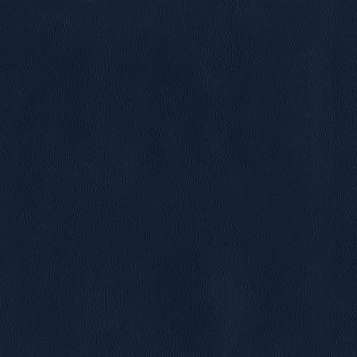 306-Naval Blue color swatch