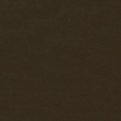 3523 Cave color swatch