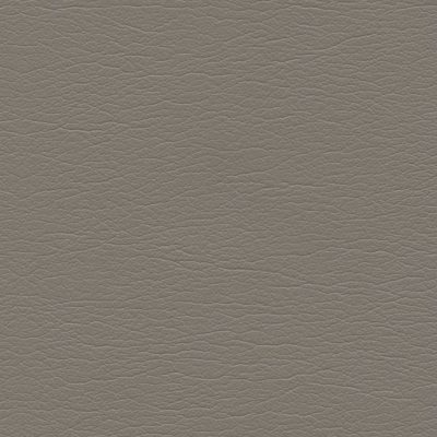 3602 Stone color swatch