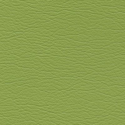 4460 Parrot color swatch