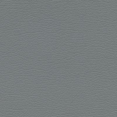 5040 Elephant color swatch