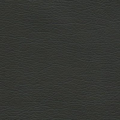 5607 Raven Wing color swatch