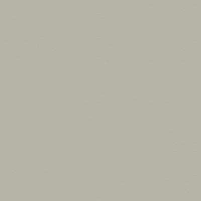 5666 Dove Grey color swatch
