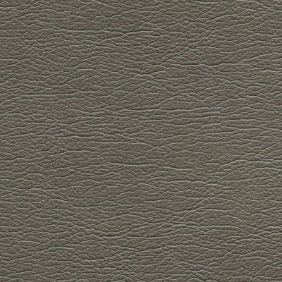 5768 Pewter (pearlized) color swatch