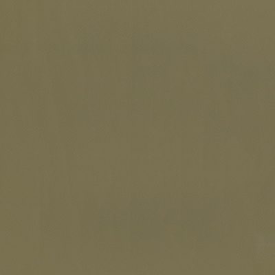 609-Taupe color swatch