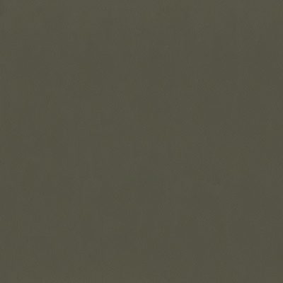 802-Mocha color swatch