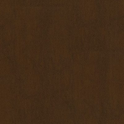 804-Amber color swatch