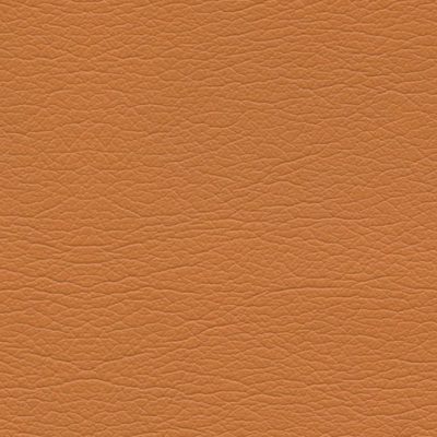 8243 Apricot color swatch