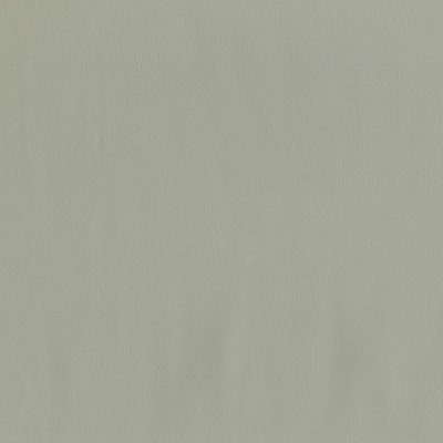 902-Seagull color swatch