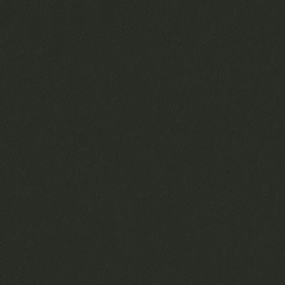 908-Chinchilla color swatch