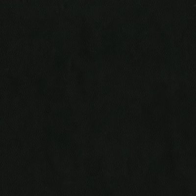 909-Raven color swatch