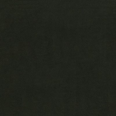 98-Charcoal color swatch